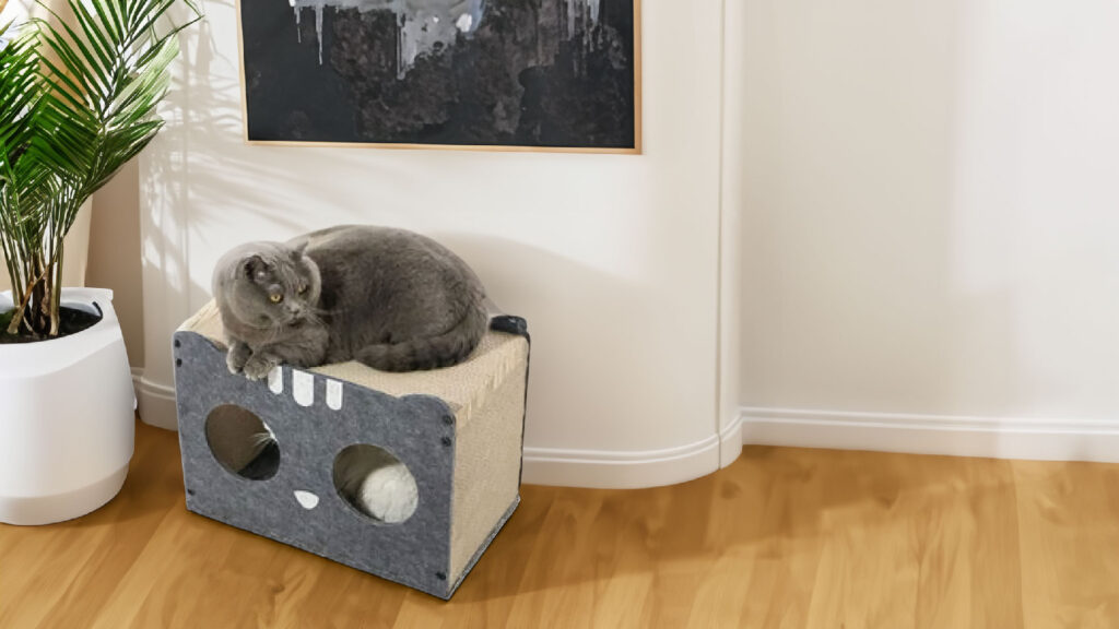 cute grey cat in a cat scratcher