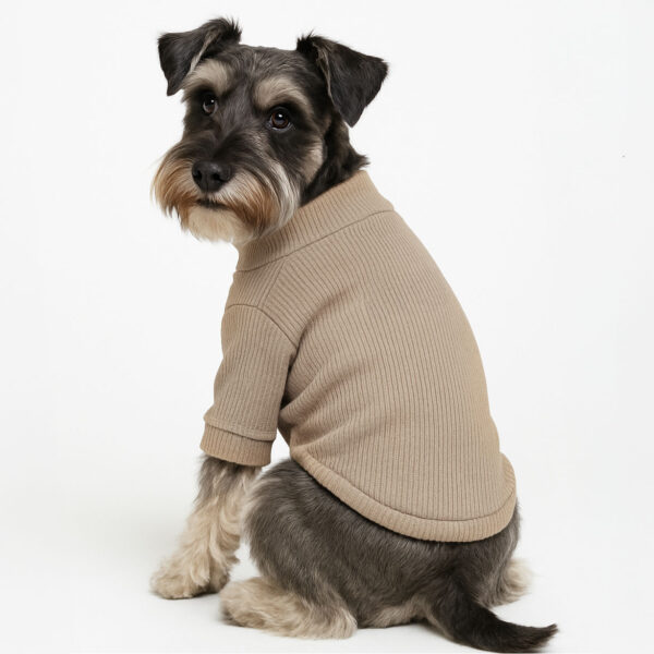 Small dog wearing a light brown polyester rib turtleneck sweater with JoinPet logo, sitting upright with one paw raised on a neutral background