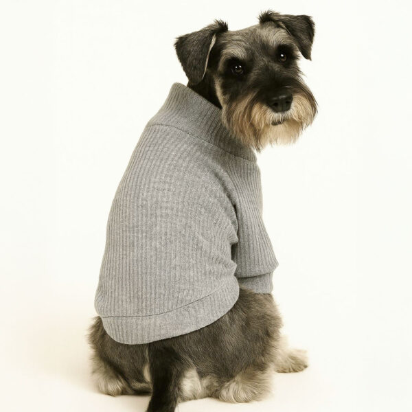Small dog wearing a light gray polyester rib turtleneck sweater with JoinPet logo, sitting upright with one paw raised on a neutral background